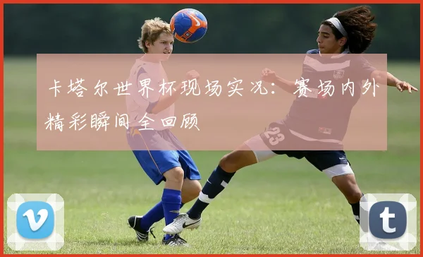 卡塔尔世界杯现场实况：赛场内外精彩瞬间全回顾