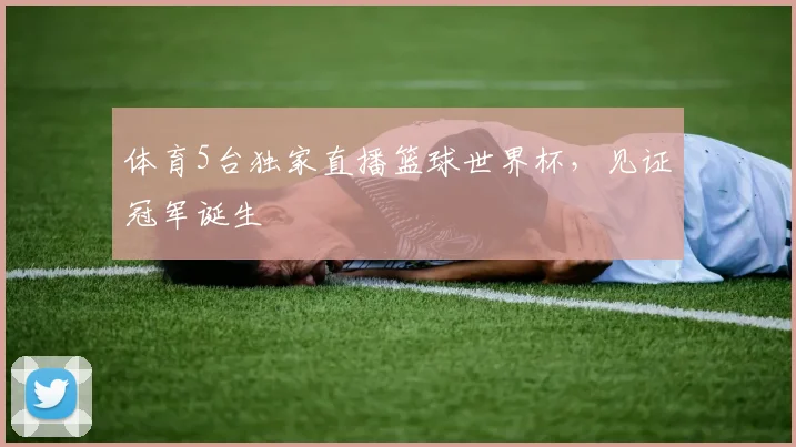 体育5台独家直播篮球世界杯,见证冠军诞生