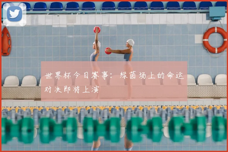 世界杯今日赛事:绿茵场上的命运对决即将上演