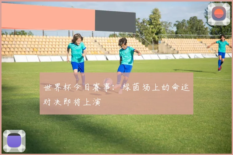 世界杯今日赛事:绿茵场上的命运对决即将上演