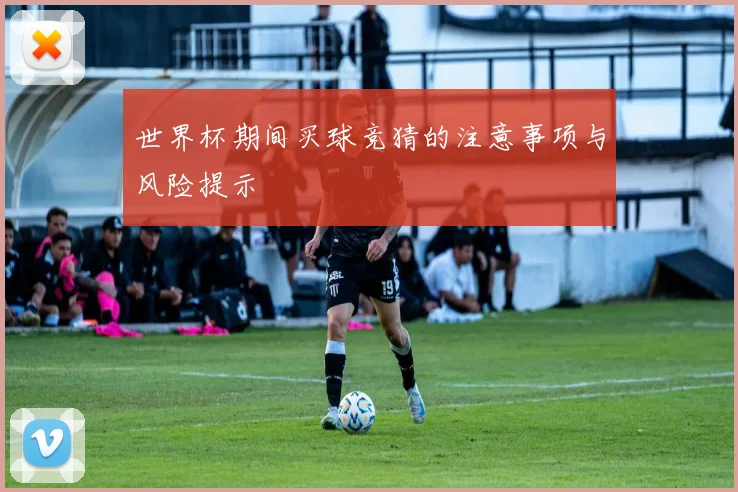 世界杯期间买球竞猜的注意事项与风险提示