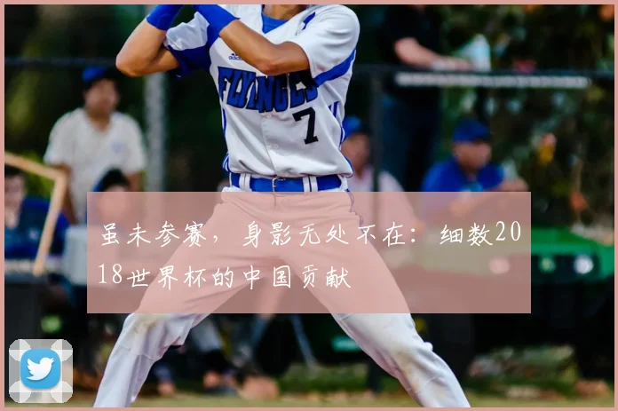 虽未参赛，身影无处不在：细数2018世界杯的中国贡献