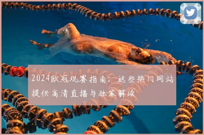 2024欧冠观赛指南：这些热门网站提供高清直播与独家解读