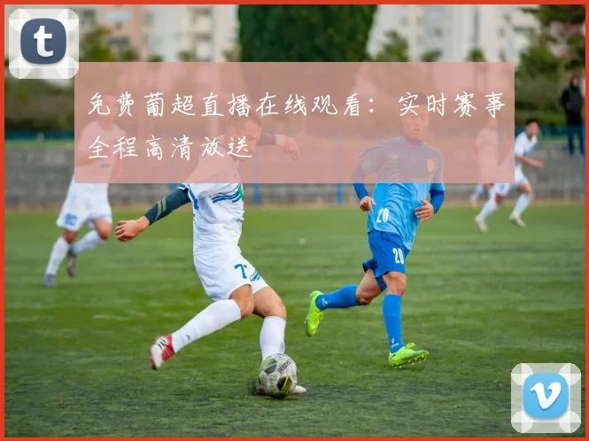 免费葡超直播在线观看：实时赛事全程高清放送