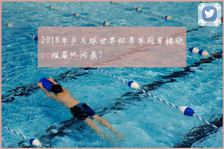 2018年乒乓球世界杯男单冠军揭晓：谁最终问鼎？