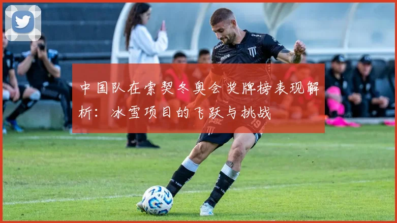 中国队在索契冬奥会奖牌榜表现解析：冰雪项目的飞跃与挑战